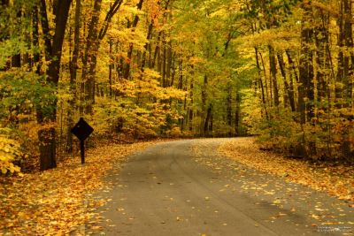 _autumn_road-content