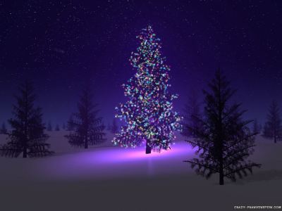 beautiful-christmas-tree-content