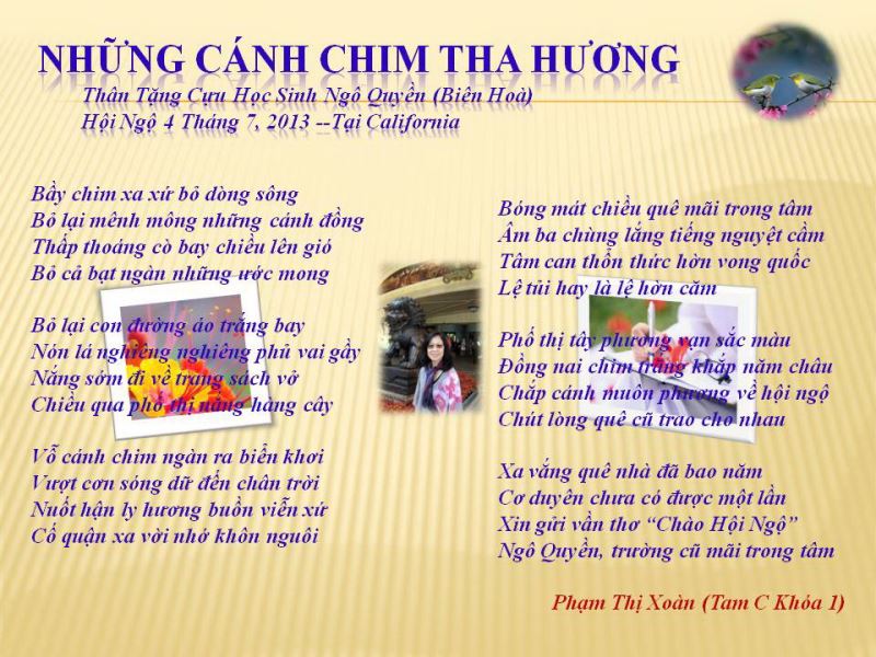 nhung_canh_chim_tha_huong-large