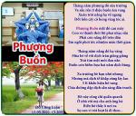 phuong-buon