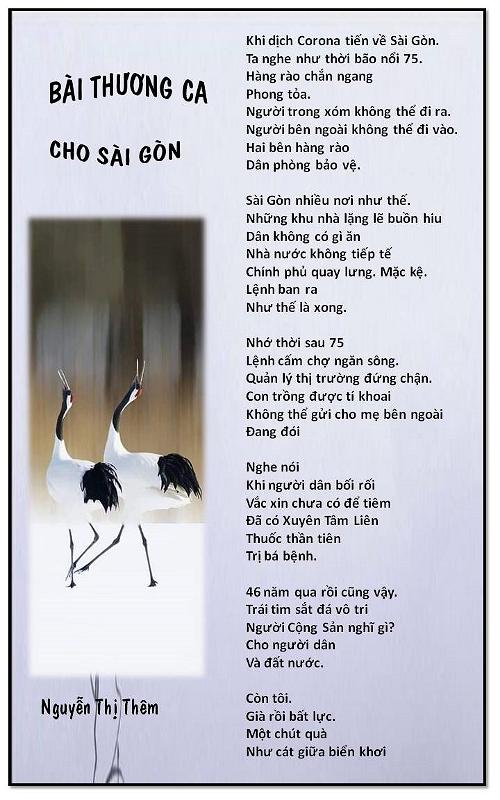 Bài thương ca cho Sài Gòn  NTT
