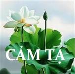 cam-ta-1